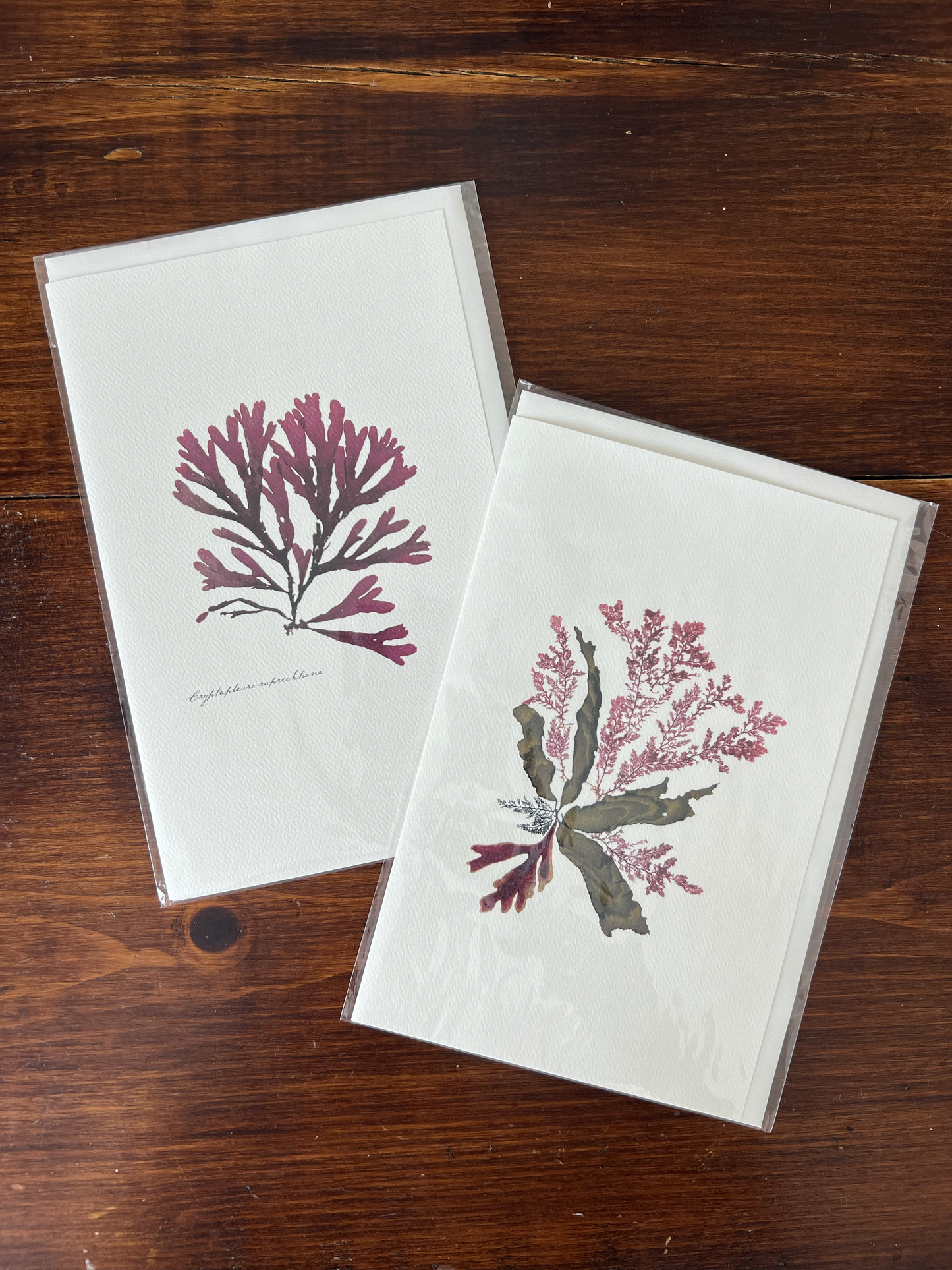Greeting Card